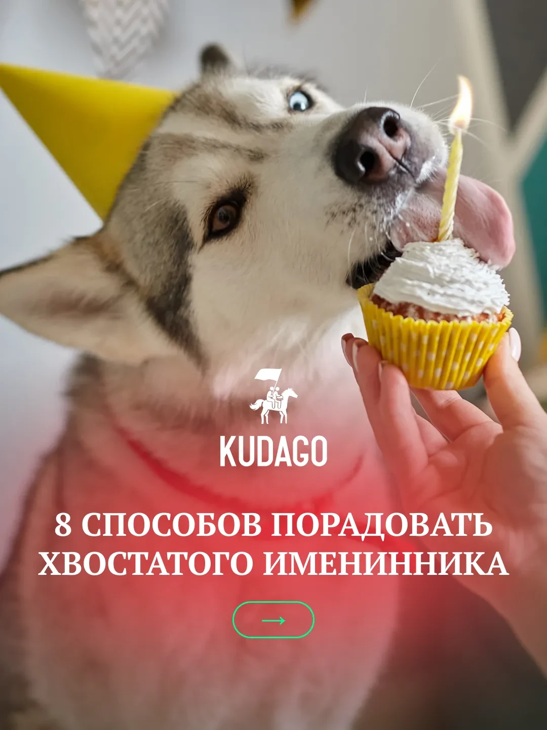 У кого сегодня праздничные лапки? 8 способов порадовать хвостатого именинника 🐕