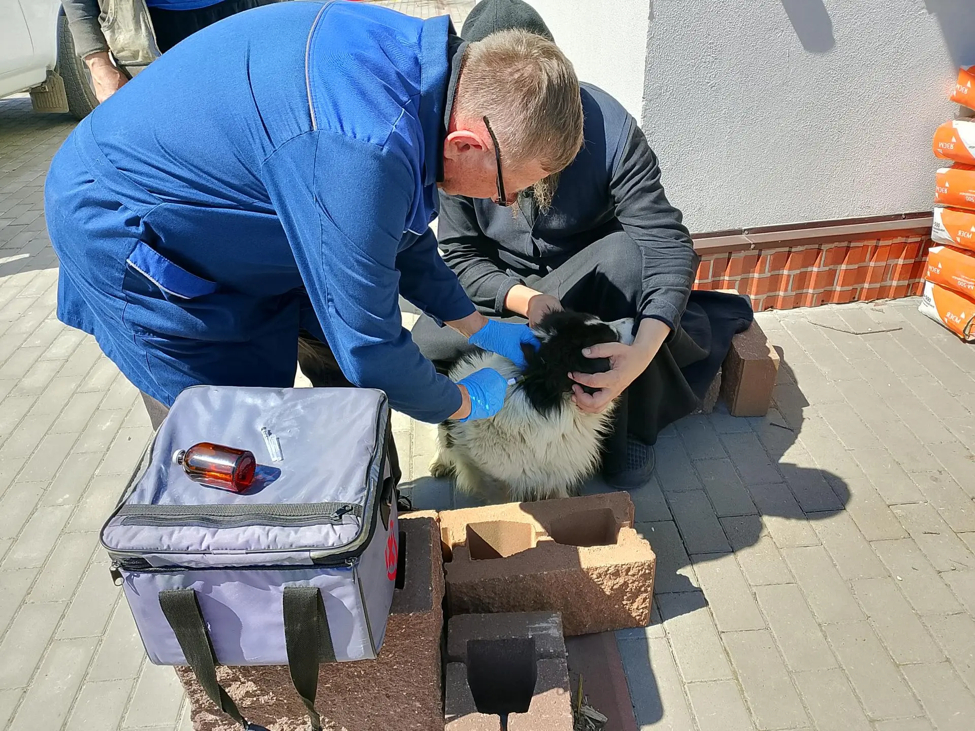 РАБОТА ВЕТЕРИНАРНОЙ СЛУЖБЫ