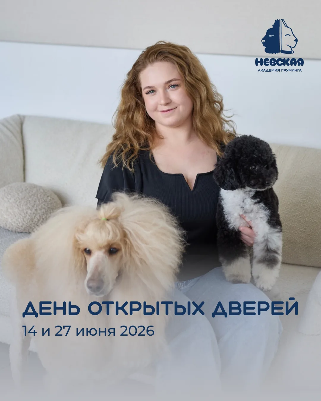 🐾 Любите животных и давно присматриваетесь к профессии грумера, но не знаете, с чего н...