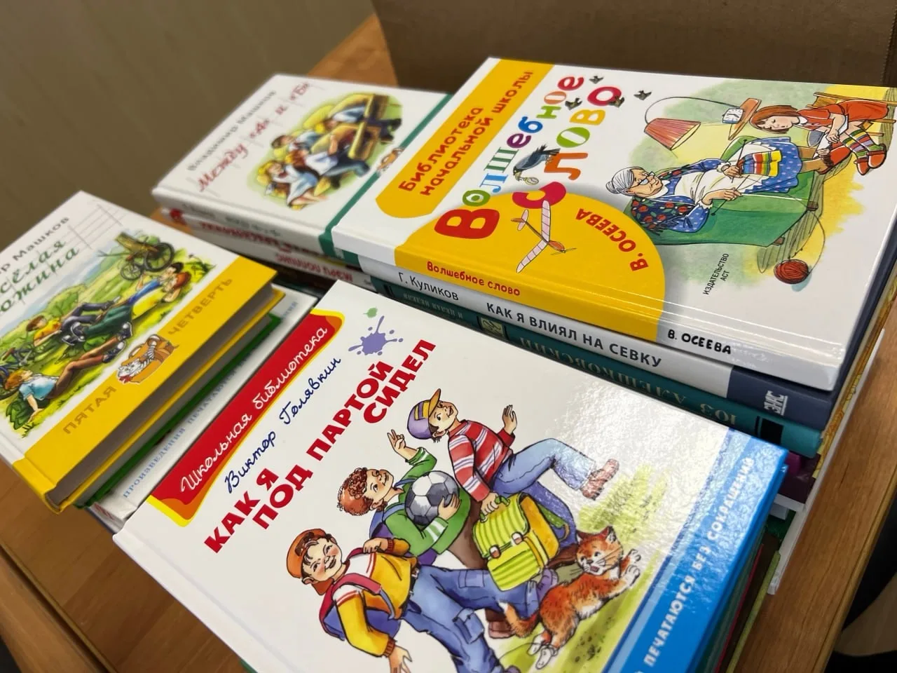 Продолжается акция по сбору книг для школьных библиотек муниципальных округов Псковской области.

Эт