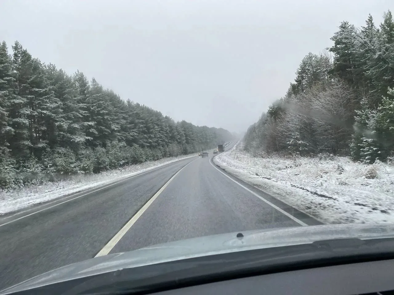 ❄‼ Погода в Удмуртии: в выходные — дождь со снегом, на дорогах — осторожно, гололедица!