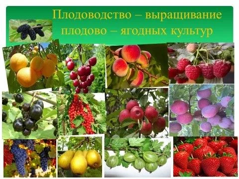 ✅В рамках дополнительного профессионального образования в колледже предоставляются образовательные у