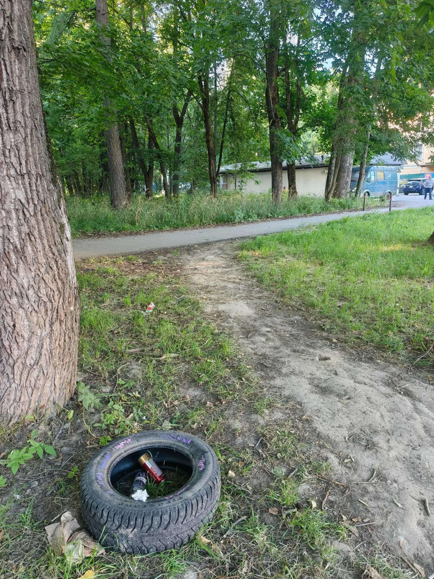 У светофора в старую Осинку появляется новая стихийная мусорка