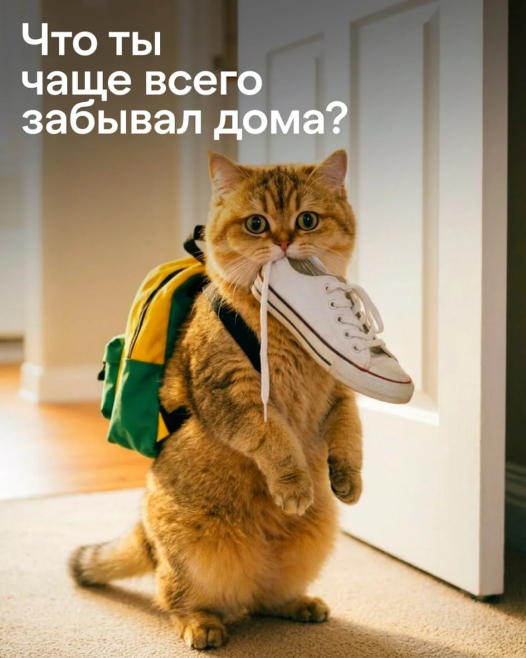📚До 1 сентября остался один день…
