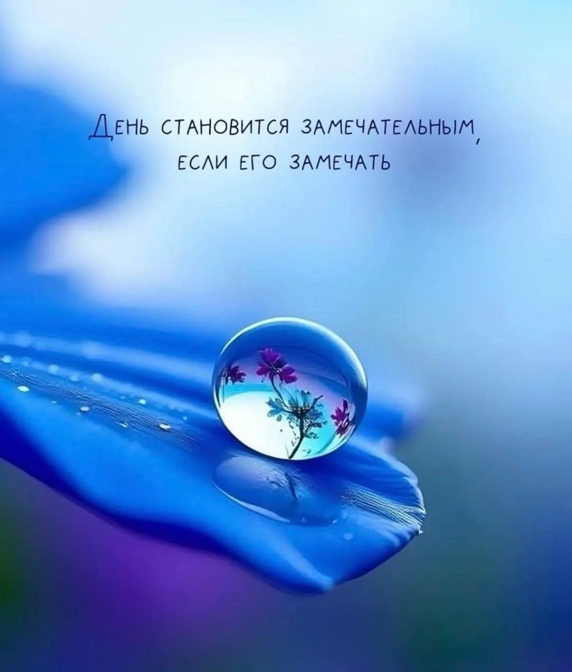 1 июня, понедельник, Луна в Стрельце ♐