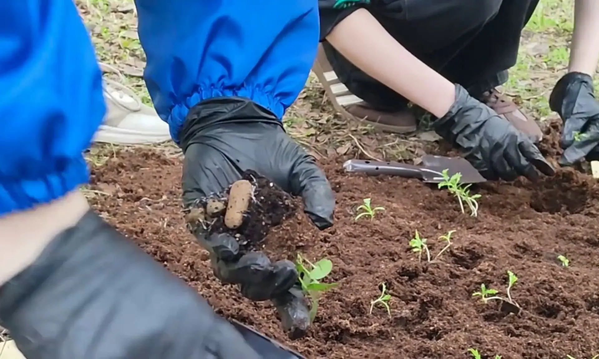 🌷 Команда молодежного пространства «СОПКИ» вместе с Первичным отделением Движения Первых присоединил