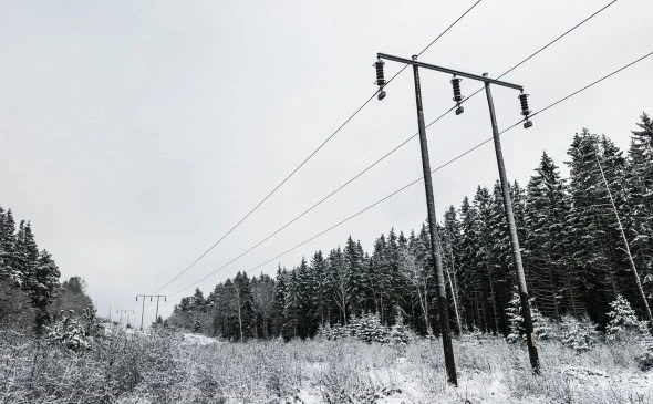 💡Госкомитет Карелии по ценам и тарифам информирует о льготах на подключение электроэне...