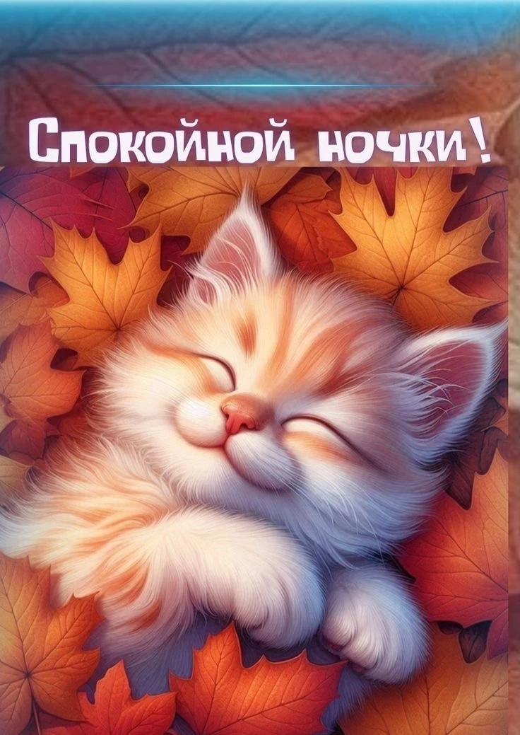 Красивые открытки❤️