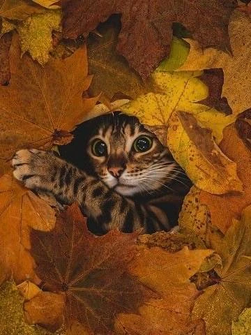 🌰 Доброе утро, соседи!