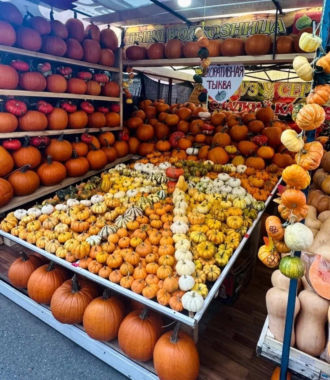 Тухачевский рынок 🎃