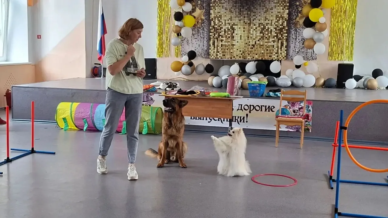 🎉 СЕГОДНЯ В НАШЕМ ШКОЛЬНОМ ЛАГЕРЕ — НАСТОЯЩИЙ СЮРПРИЗ! 🎉 
🐶К ребятам прибыли необычные гости — Се