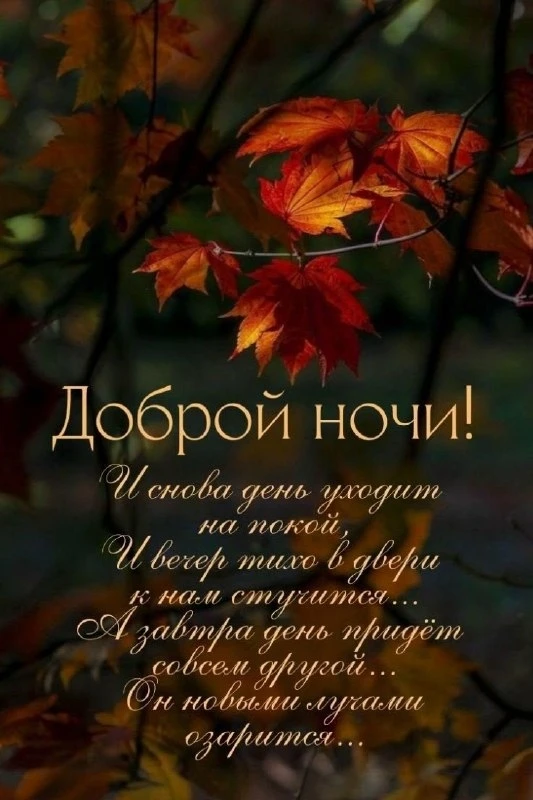 Открытки: подписаться ❤️