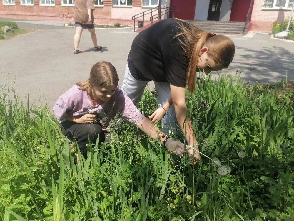 🌱 Школьная отработка 🌱
_____________________________

🔅 Учащиеся 7 «Г» и 8 «Б» классов МБОУ «СОШ 