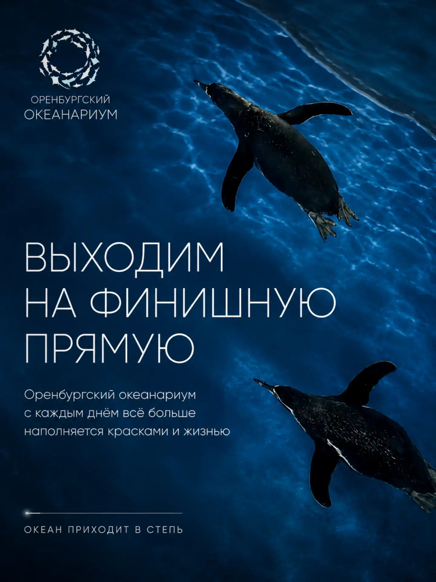 Совсем скоро наш океанариум откроет для вас двери в удивительный мир 💙