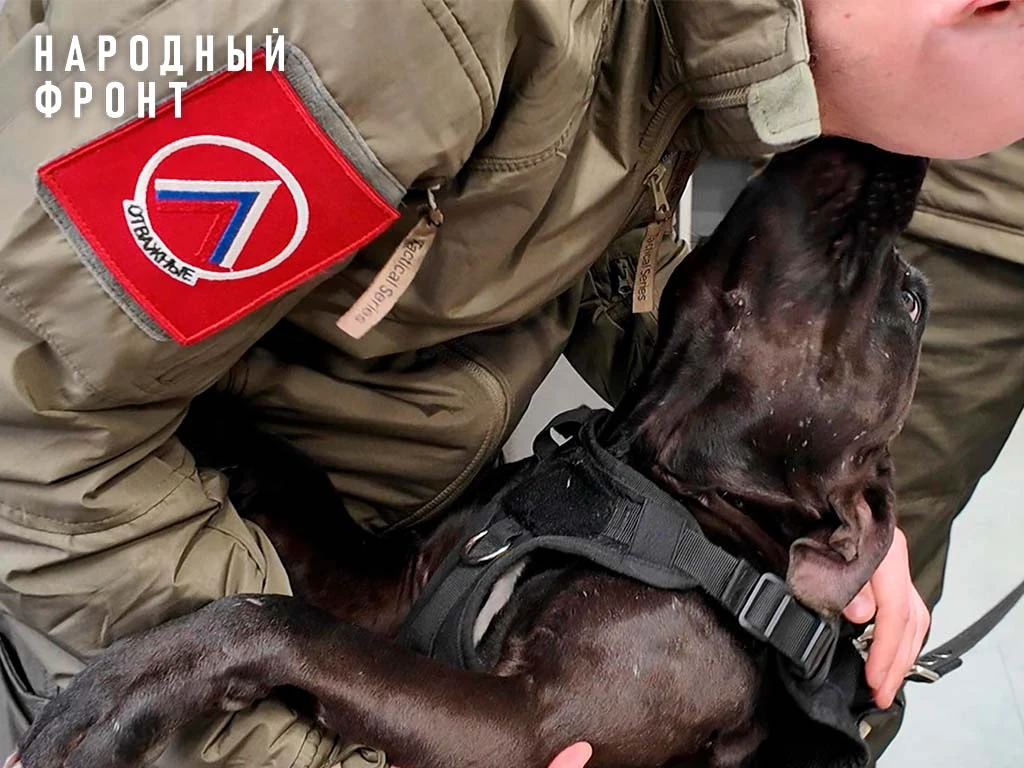 Два брата и их спасённый питбуль.  Если не читали историю и не смотрели видео, только посмотрите на 