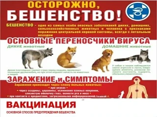 ‼️ПАМЯТКА ДЛЯ НАСЕЛЕНИЯ ‼️