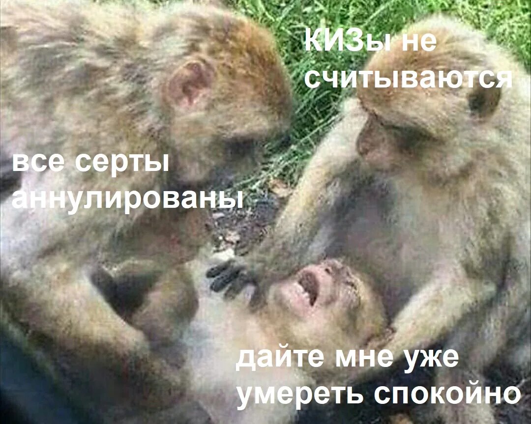 🧸 Многострадальные игрушки