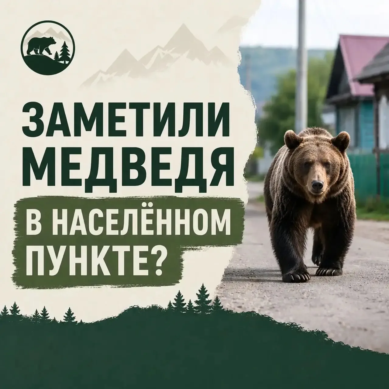 Если вы заметили медведей в населённых пунктах или рядом с жилыми массивами, соблюдайте...
