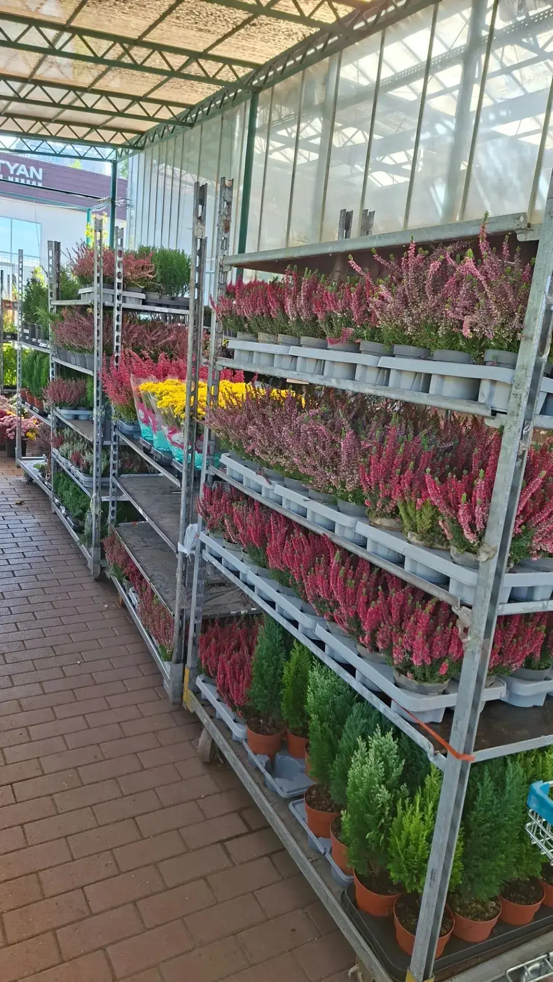 Новинки на уличной площадке🍂🌸
