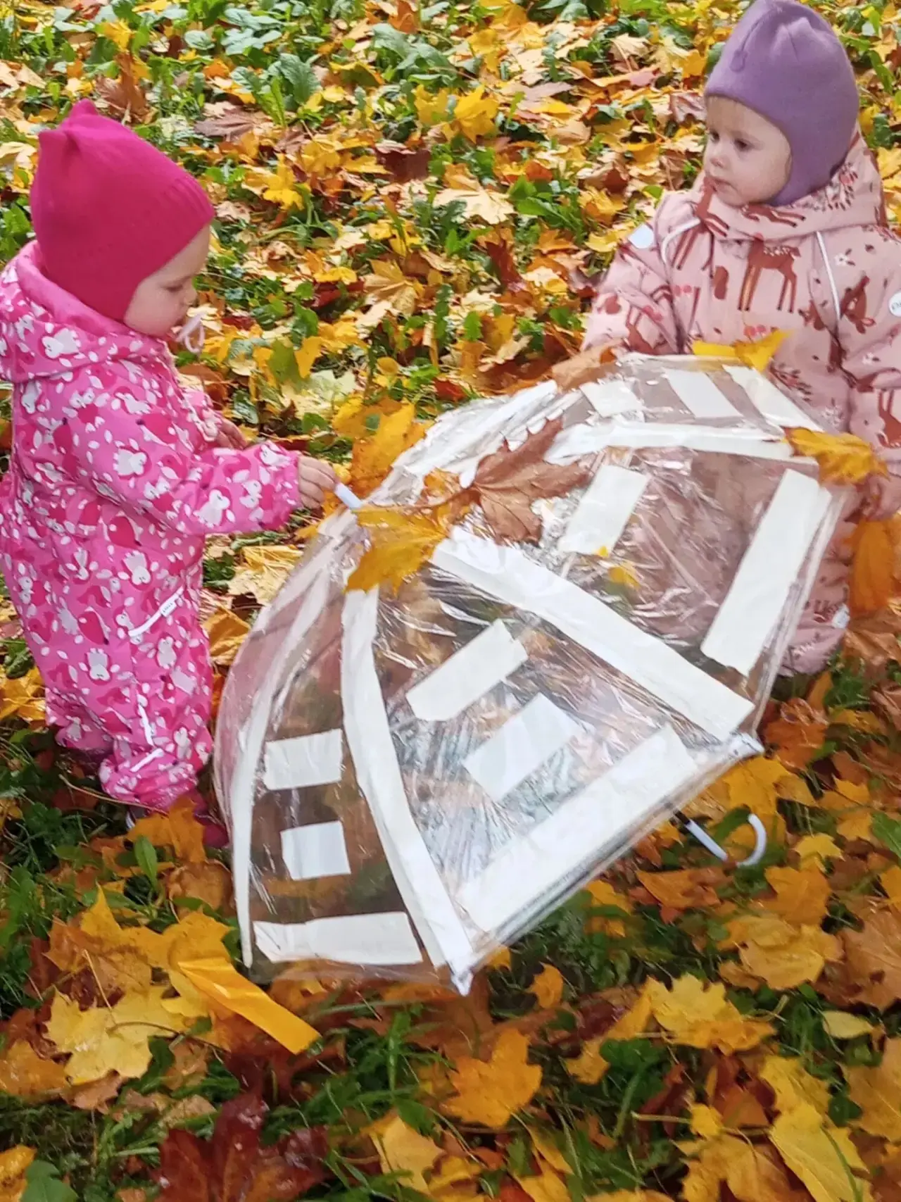🍁🍁🍁Осень - прекрасное время года для создания чудесных и ярких поделок.