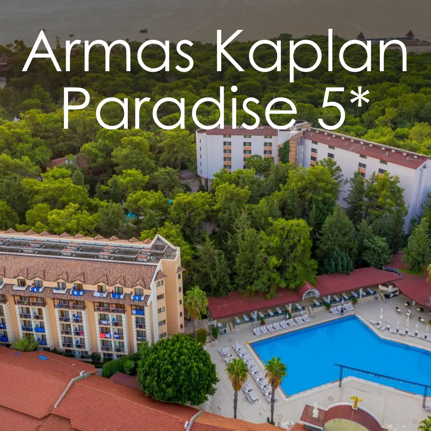 🌲 ДОСТУПНАЯ ТУРЦИЯ В ТЕНИ КЕДРОВ И ГОР: Armas Kaplan Paradise 5⭐️