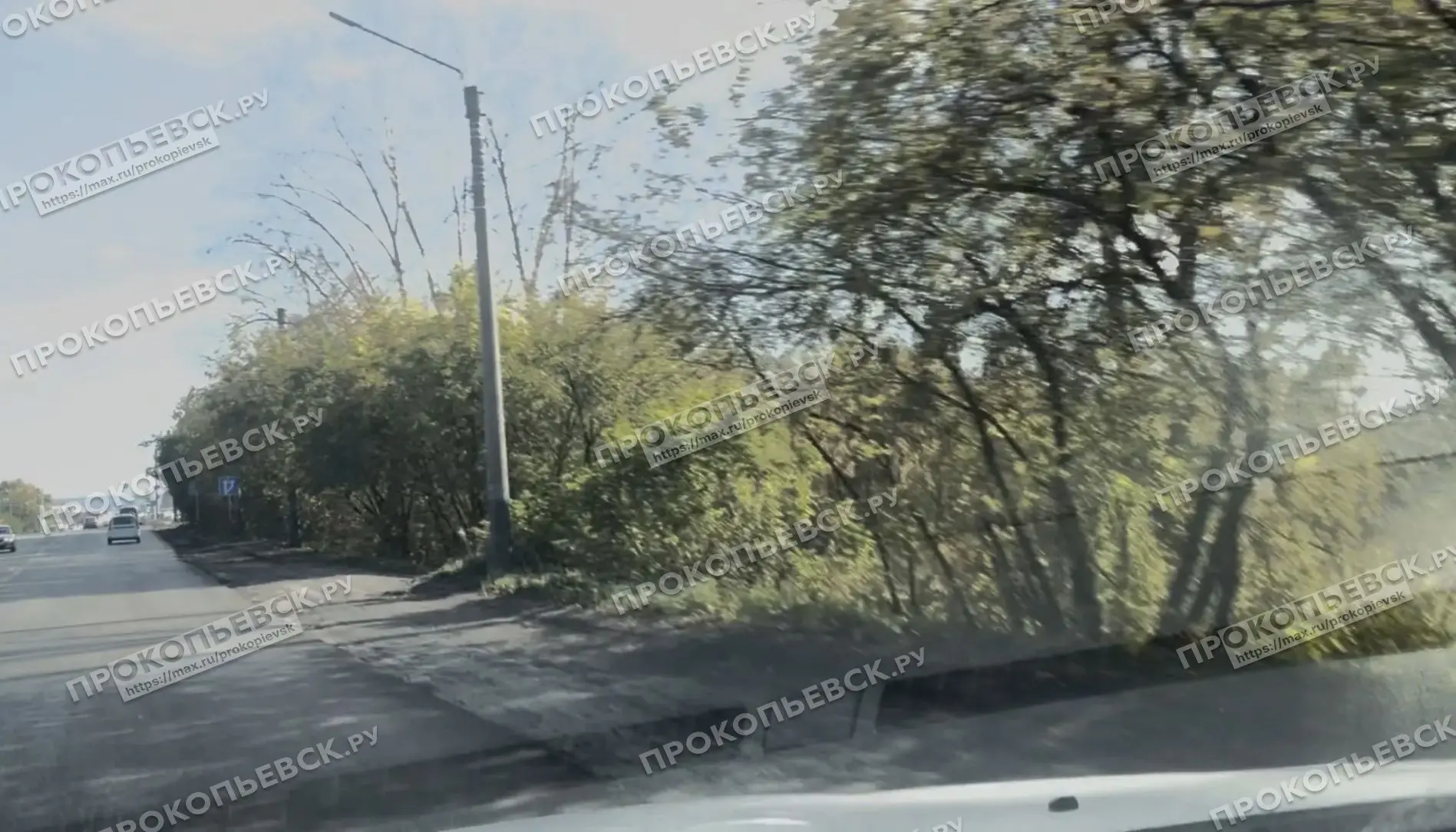 От подписчика.