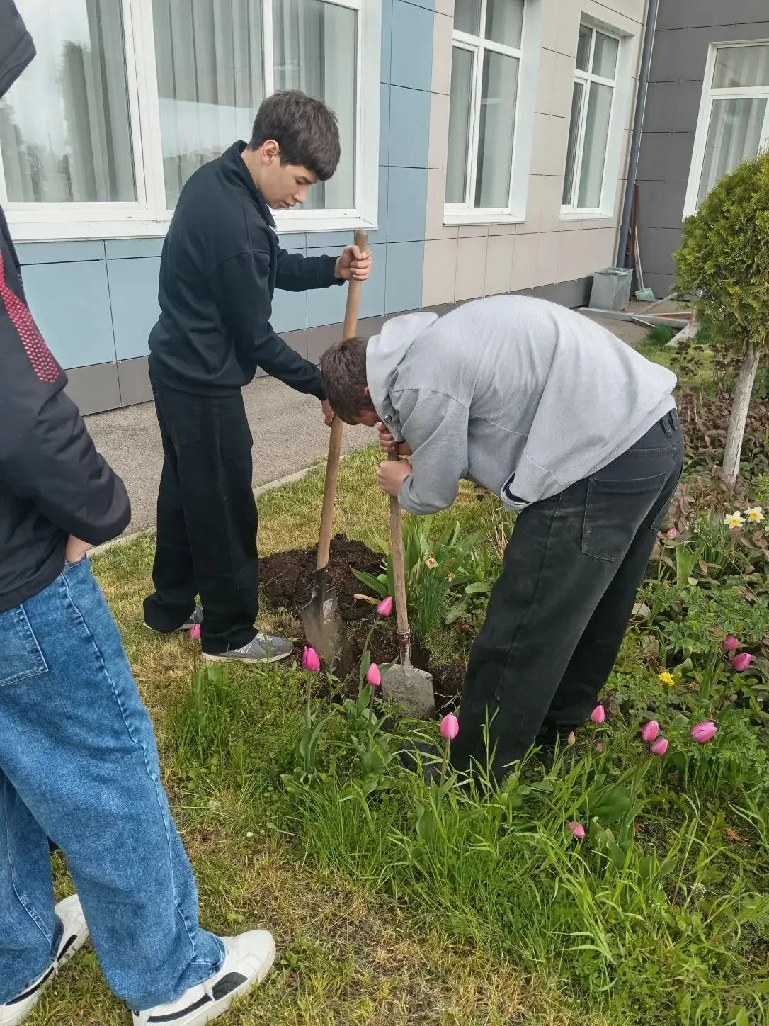 🌿 Субботник в нашей школе!🌿  В нашей школе прошёл субботник. Ученики, учителя вместе убирали террито