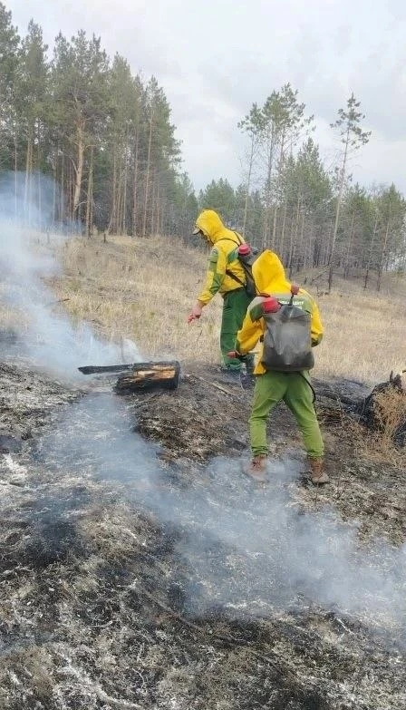 Три часа тушили огонь возле села Знаменка минусинские лесные пожарные   Сотрудники Минусинской лесоп