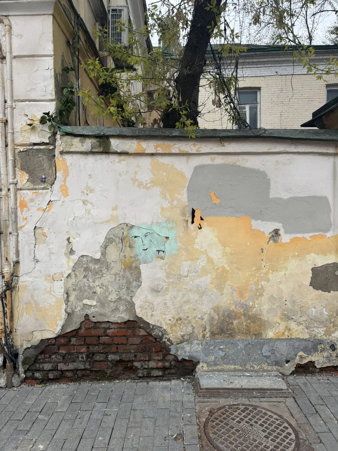 [Портрет]