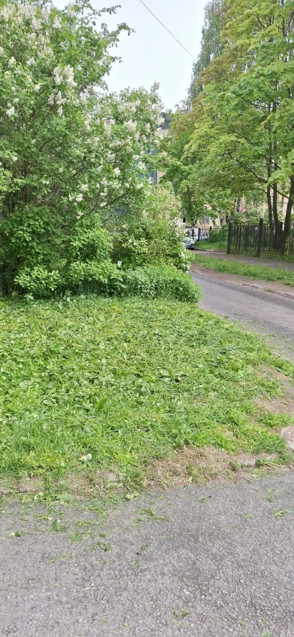 🍃Покос травы.