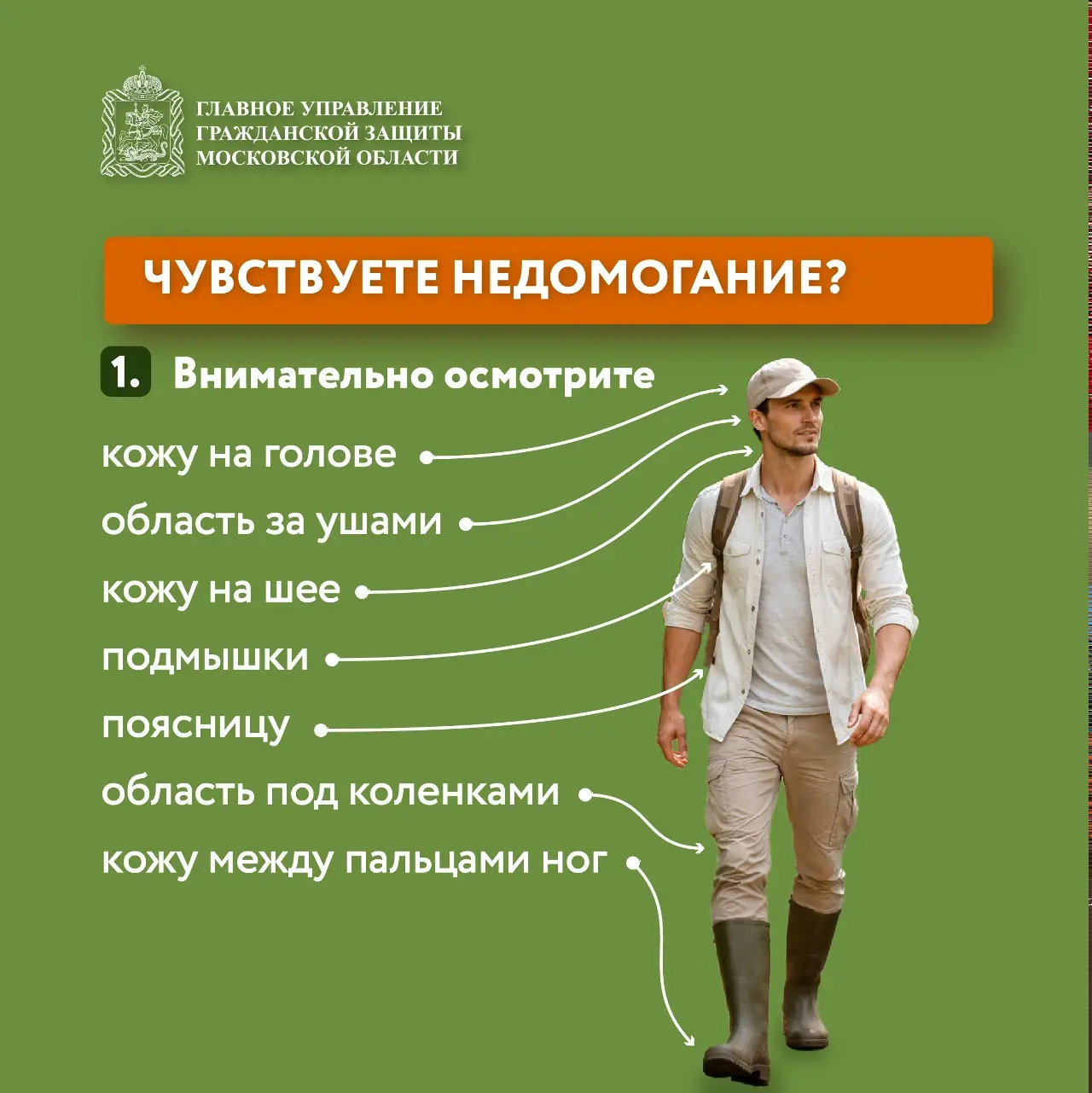 🌱 Май и июнь — пик активности клещей!  🦠 Клещи могут переносить опасные заболевания, такие как энцеф