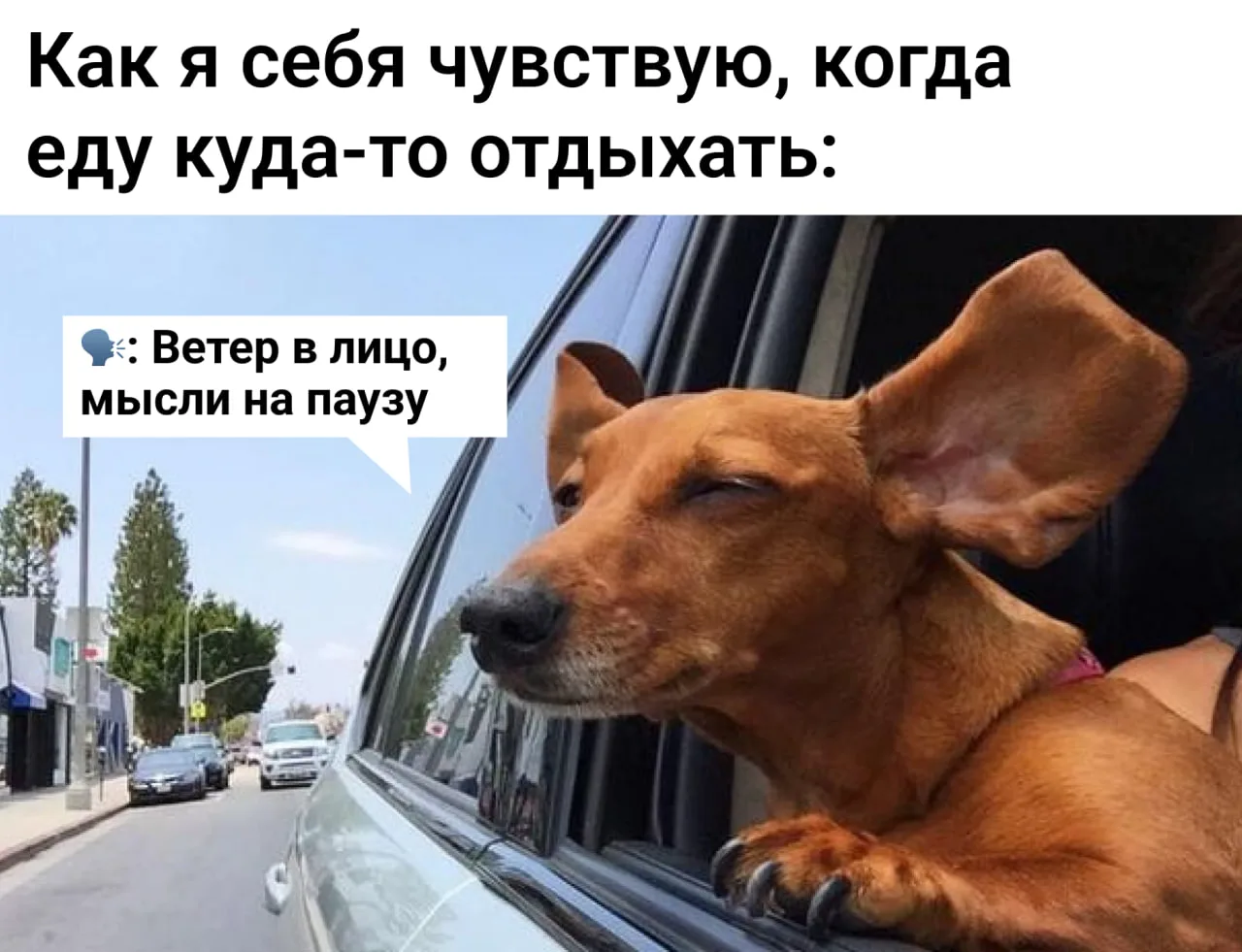 И никаких забот! 🤩