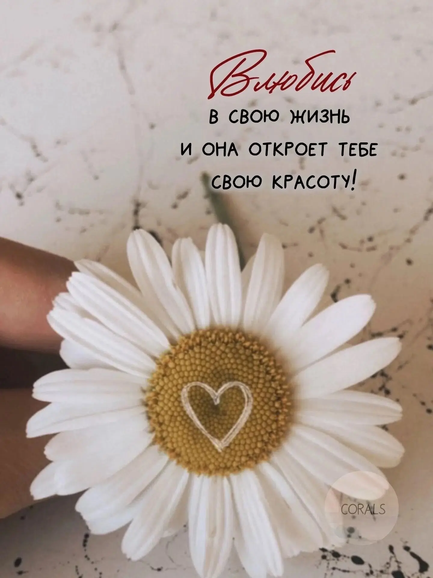 Добренького утречка 🫰