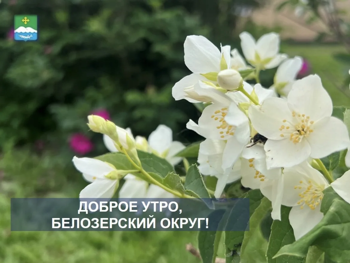 Доброе утро, Белозерский округ!

За окном +24 градуса, днём до +25, возможен дождь. 

Всем отличного
