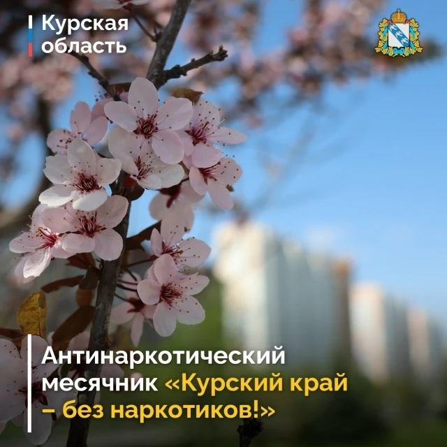 С 1 по 26 июня в Курской области проходит месячник антинаркотической направленности и популяризации 