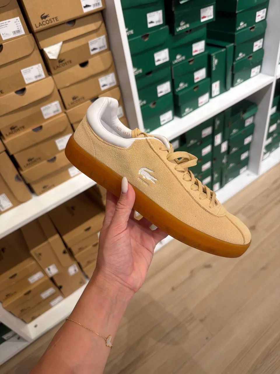 LACOSTE🏷️