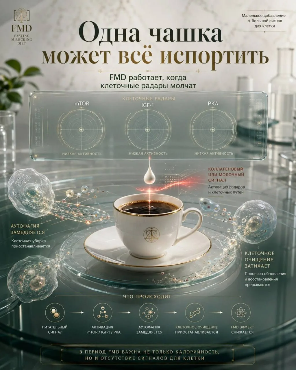Главные ошибки. Как одна чашка кофе может всё испортить? ☕️