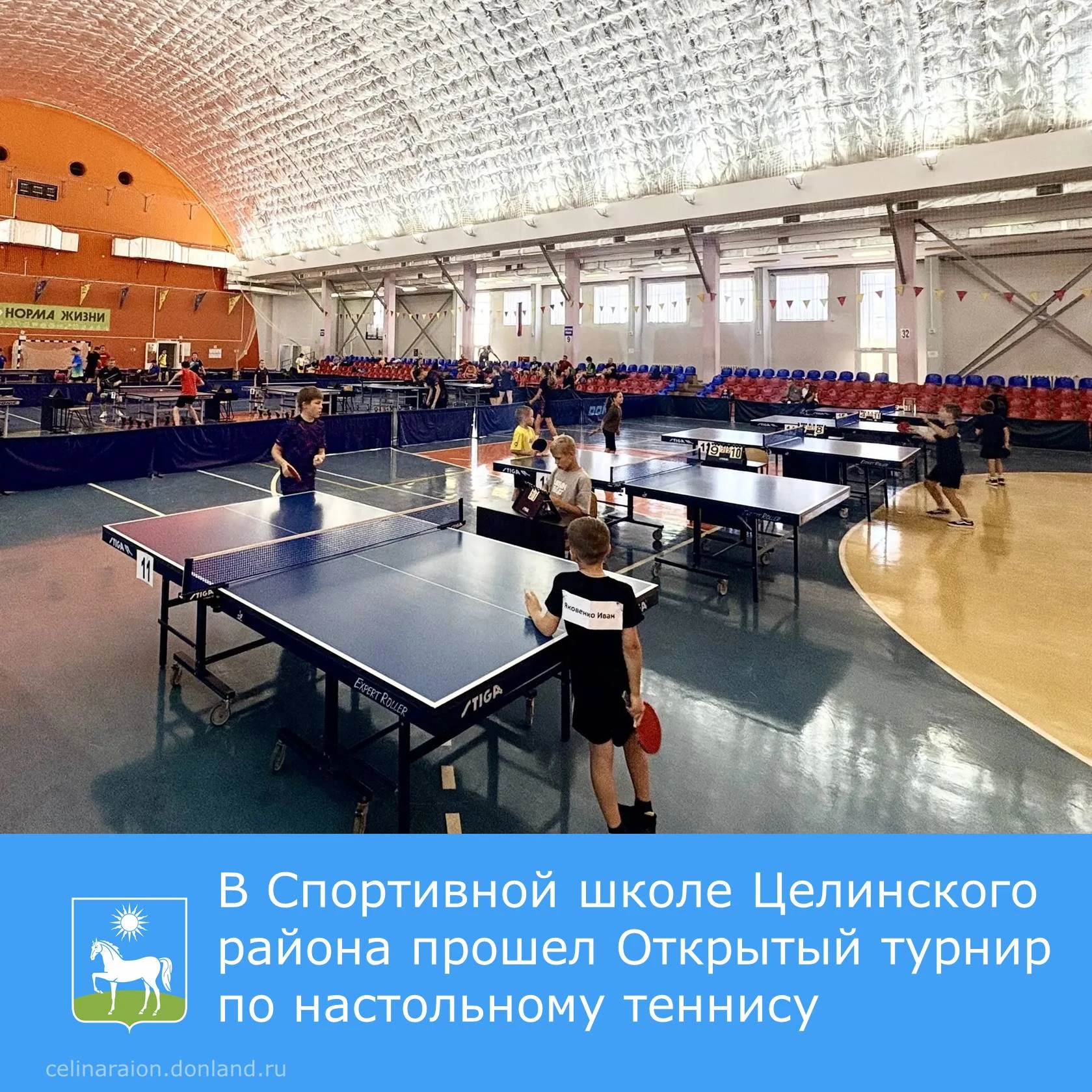 🏓 В Спортивной школе Целинского района прошел Открытый турнир по настольному теннису.