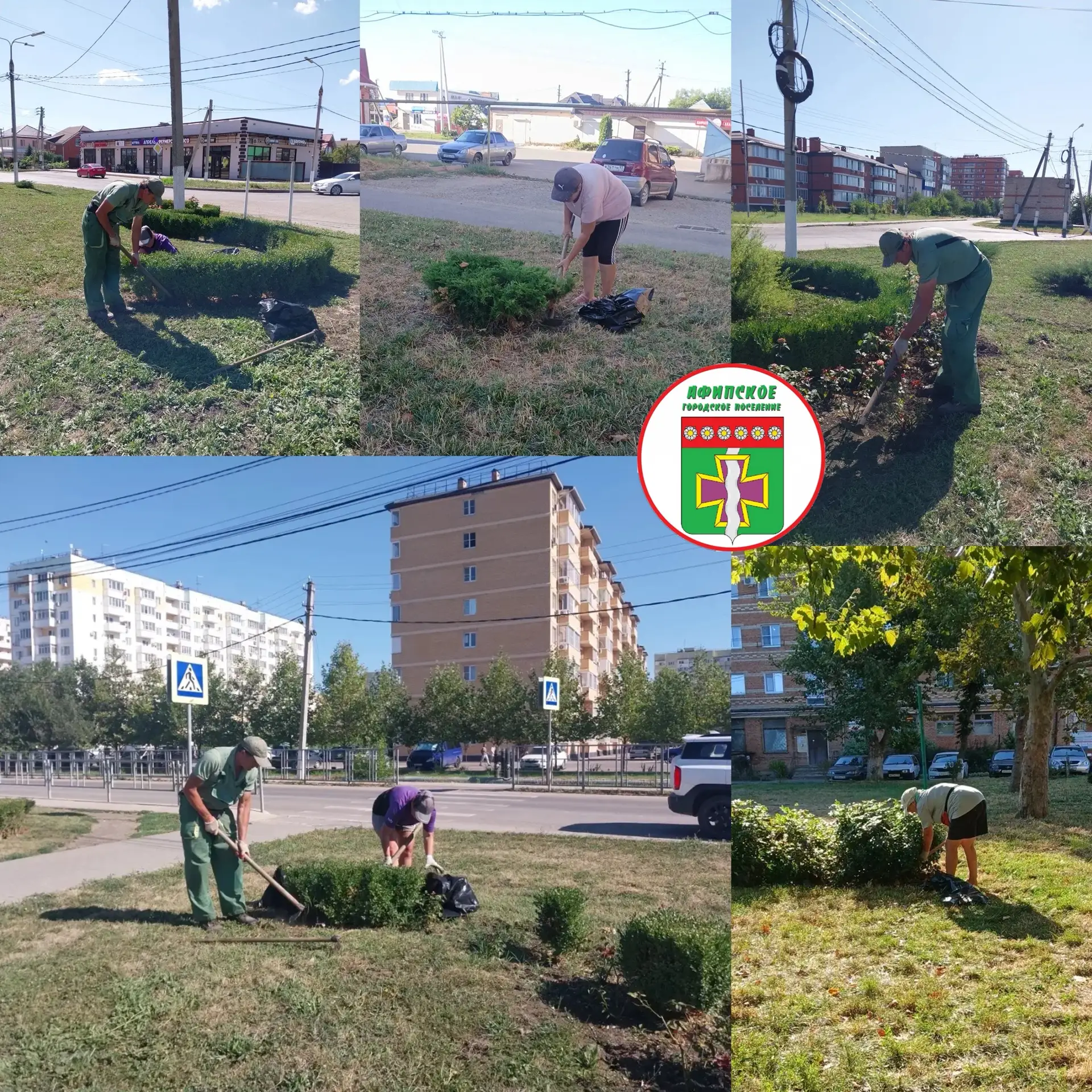 В Афипском городском поселении ведутся работы по уходу за зелеными насаждениями на клумбах. 

Сегодн