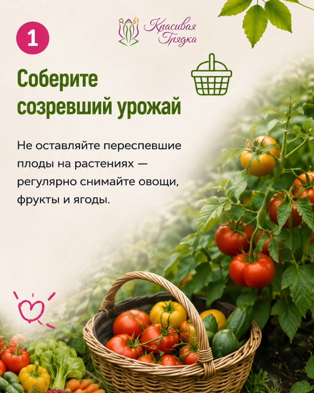 🌿 10 дел в саду, которые нельзя откладывать на сентябрь