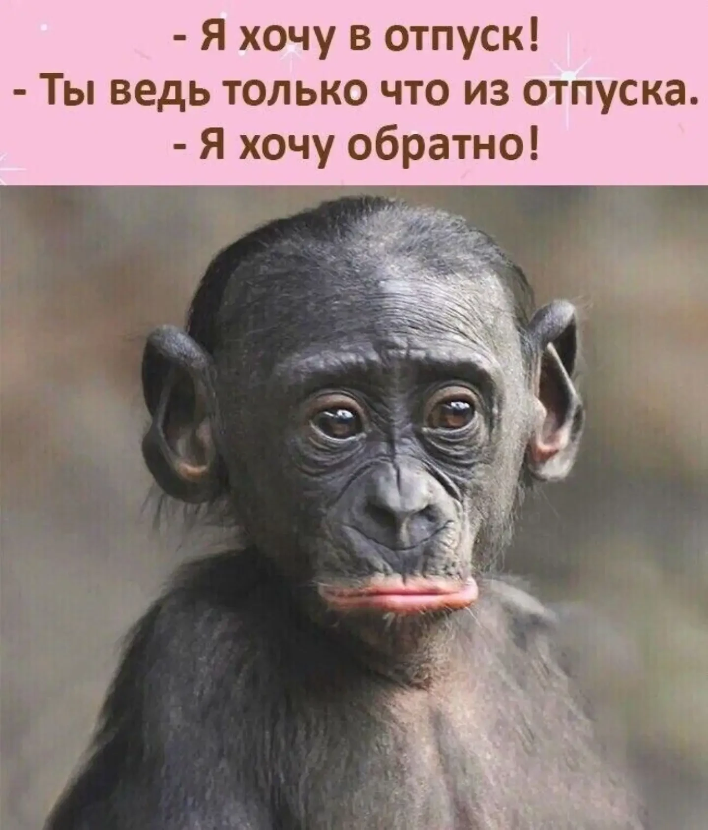 Женский юмор - Подписаться