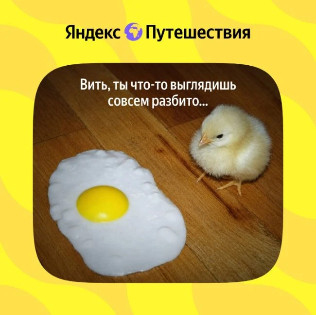 Чувствуете себя разбито? 🦭