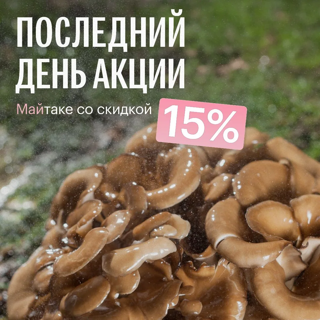 Последний день месяца МАЙтаке