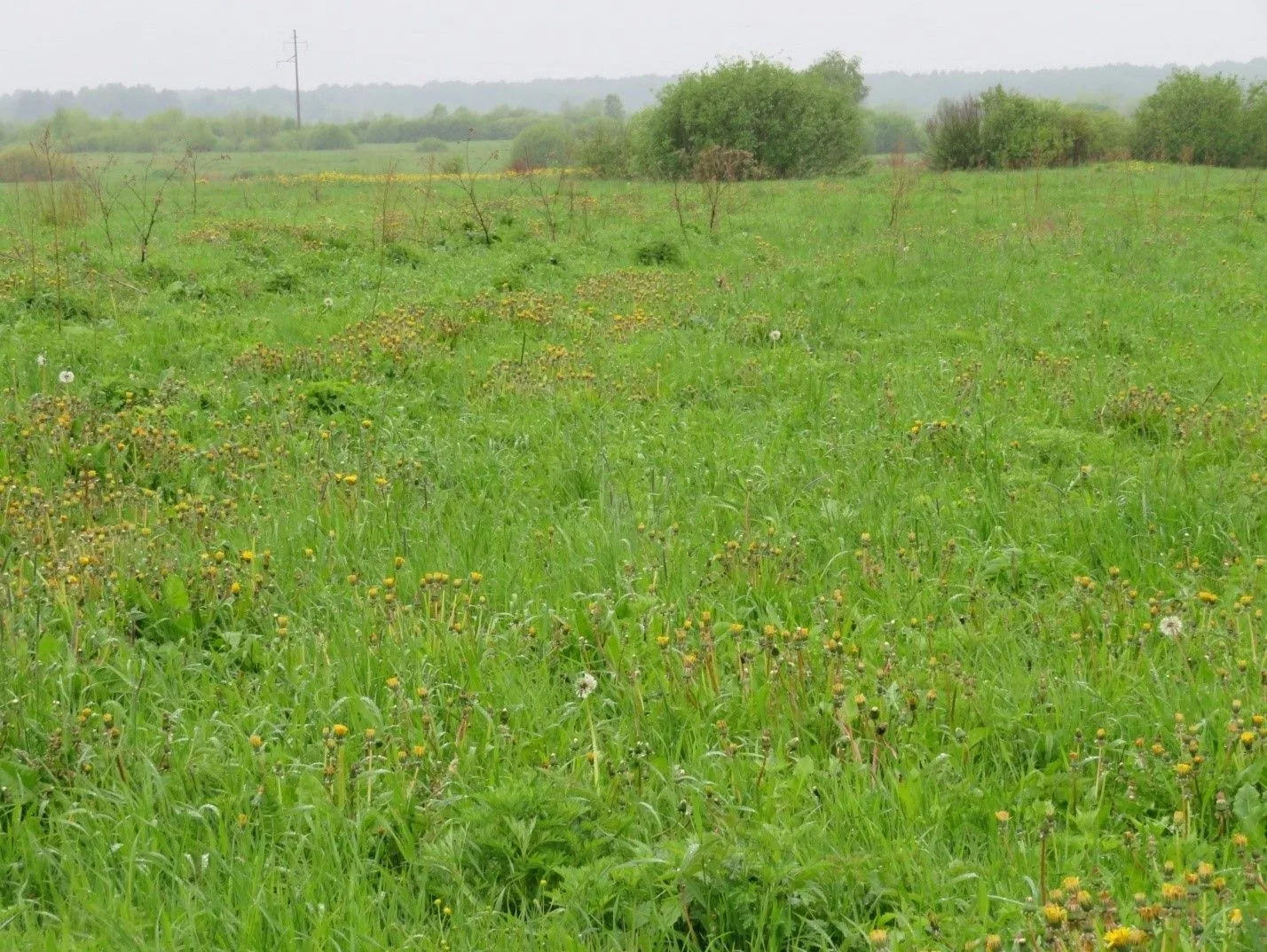 🌾Хотите запустить свой аграрный проект? У вас есть шанс реализовать его в Солецком окр...