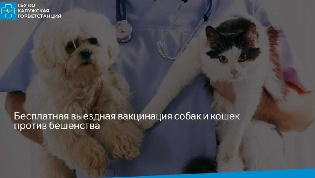 📢Уважаемые владельцы домашних животных, проживающие в д. Колюпаново и в д. Сивково, 20 июня 2026 го