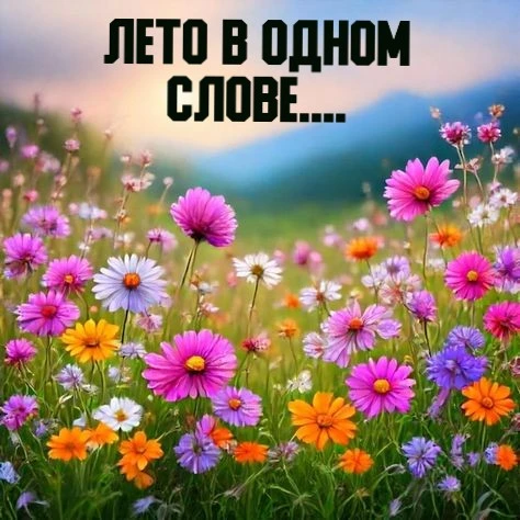 ☀️ 11 августа — почти финиш лета! ☀️
