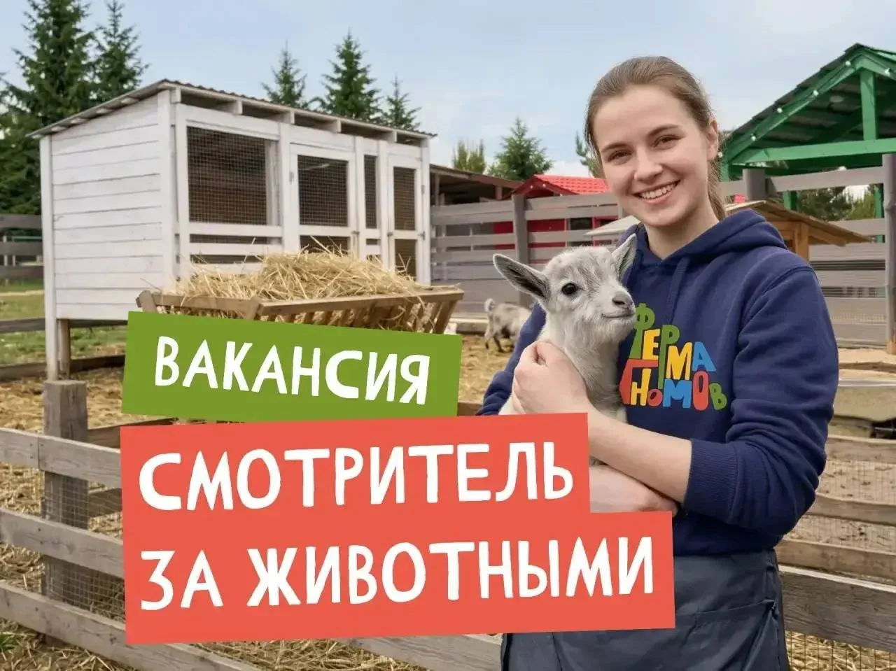 🚨 В УПРАВЛЯЮЩУЮ КОМПАНИЮ ТРЕБУЕТСЯ СОТРУДНИК