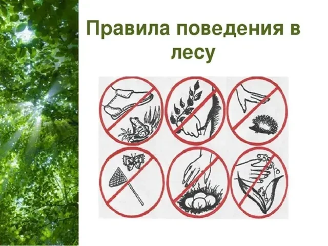Предупредите близких. Сообщите, куда идёте и когда планируете вернуться. Если идёте с компанией, дог