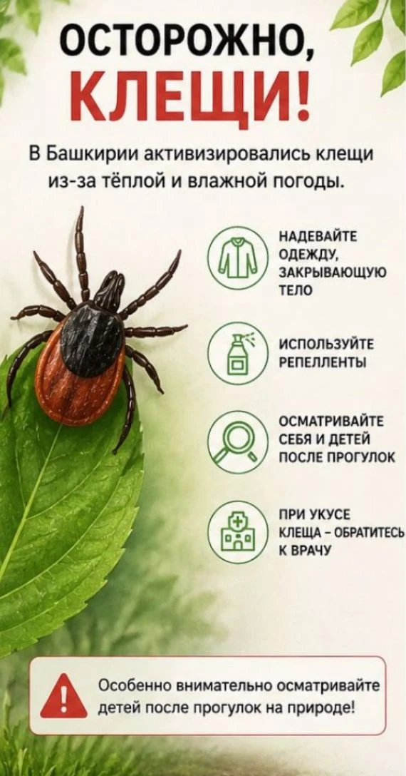 • В Башкирии активизировались клещи из-за тёплой и влажной погоды. Врачи советуют внима...