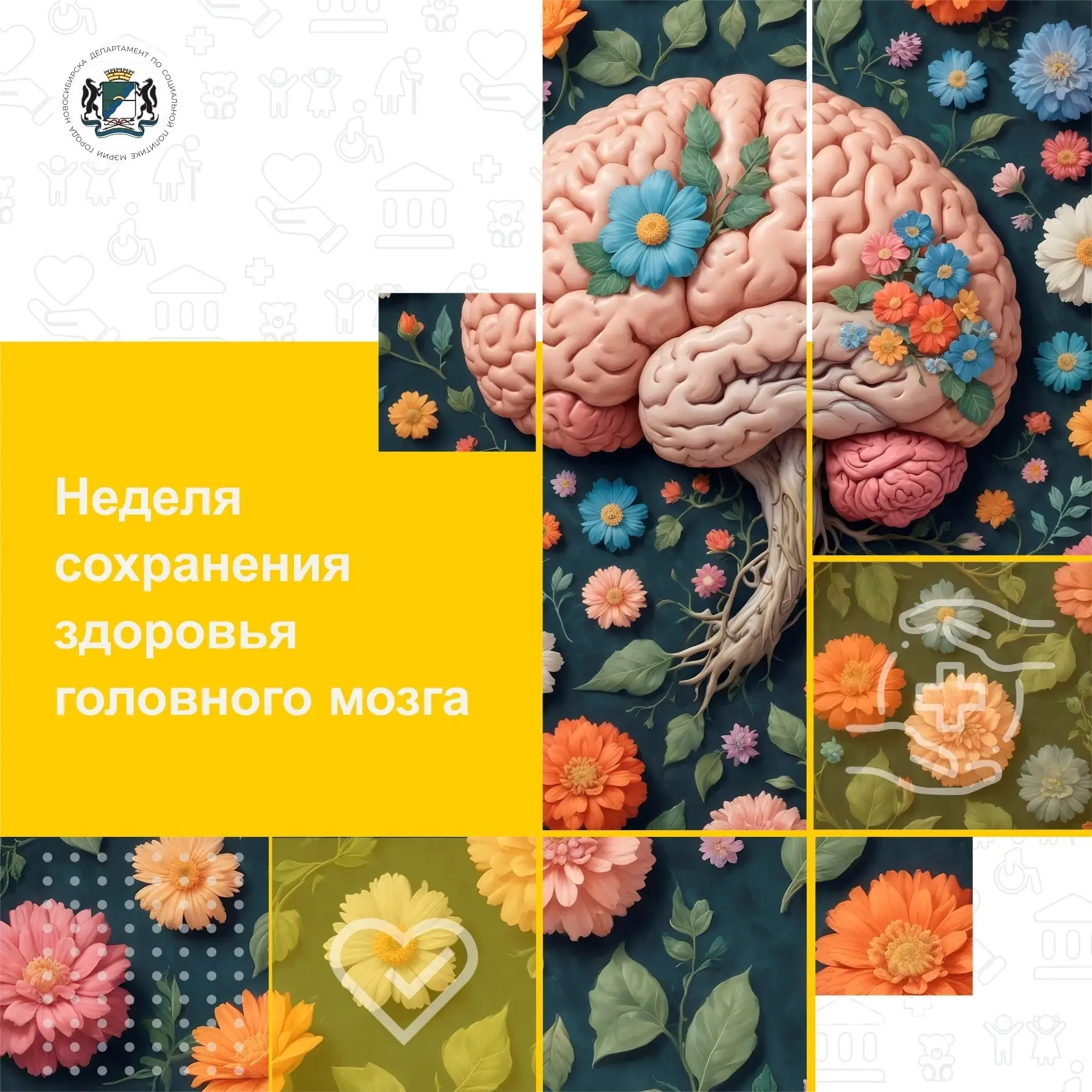 Изображение 1 к публикации «Подслушано Пашино | Новосибирск | Калининский район | ЖК Берёзки-Садовый | Поколение | Малахит | Ермак | Садовые кварталы | Грин-Парк | Работа | Вакансии»